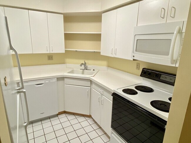 135 Pleasant St, Unit 406 in Brookline, MA - Building Photo - Building Photo