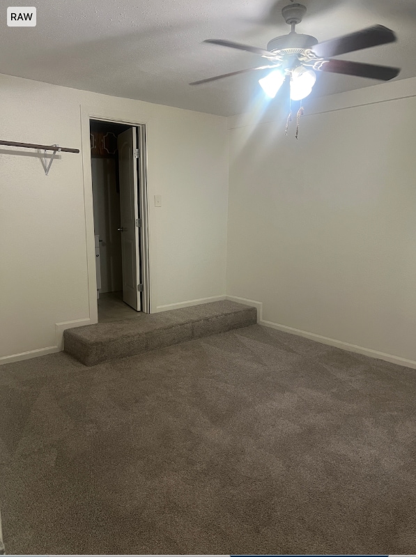 227 Cactus in Oyster Creek, TX - Building Photo - Building Photo