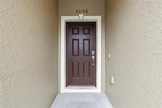 31156 Claridge Pl in Wesley Chapel, FL - Building Photo - Building Photo