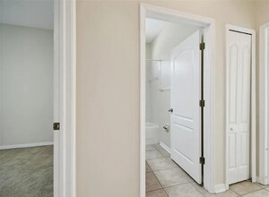 15841 Pond Rush Ct in Land O Lakes, FL - Building Photo - Building Photo