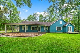 13373 Southshore Dr in Conroe, TX - Building Photo