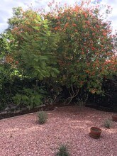 13228 Cooperage Ct in Poway, CA - Building Photo - Building Photo