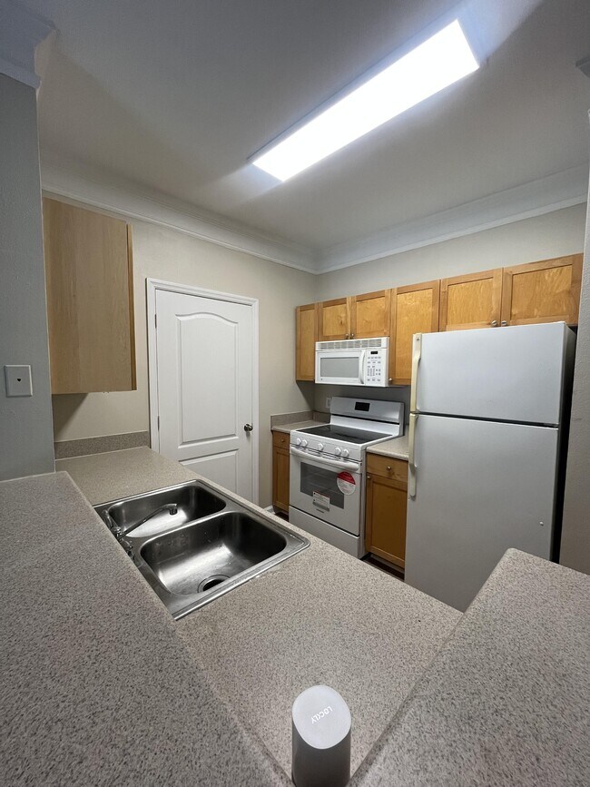 19920 Villa Ridge Dr in Orlando, FL - Building Photo - Building Photo