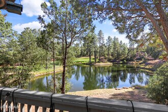 2609 E Pine Island Ln in Payson, AZ - Building Photo - Building Photo