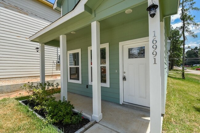 16991 W Dounreay St in Montgomery, TX - Foto de edificio - Building Photo