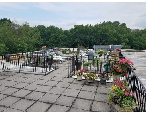 975 Massachusetts Ave in Arlington, MA - Building Photo - Building Photo