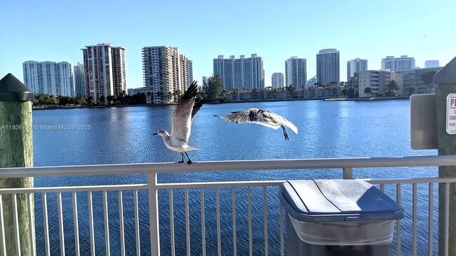 property at 18011 Biscayne Blvd