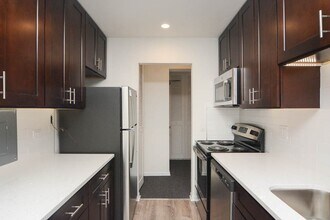 520 Aldine in Chicago, IL - Building Photo - Building Photo