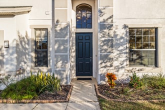 10826 Rain Lilly Pass in Land O Lakes, FL - Building Photo - Building Photo