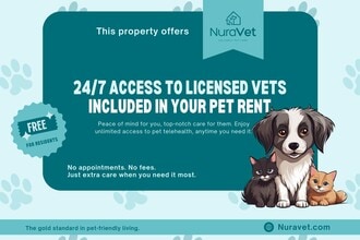 Rochester City Apartments in Rochester, NY - Foto de edificio - Building Photo