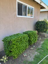 211 S Monte Vista St in La Habra, CA - Building Photo - Building Photo