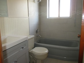 8760 Norwich St in Westminster, CO - Building Photo - Building Photo