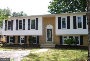 5529 Corot Ct in Fairfax, VA - Building Photo