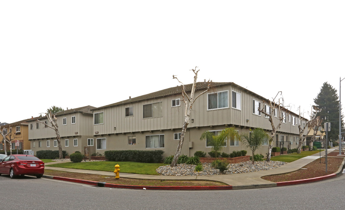 Birchwood Apartments in San Jose, CA - Building Photo