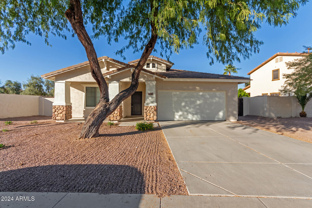 3682 E Andre Ave in Gilbert, AZ - Building Photo