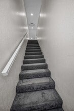 9852 Indian Key Trail in Seminole, FL - Building Photo - Building Photo