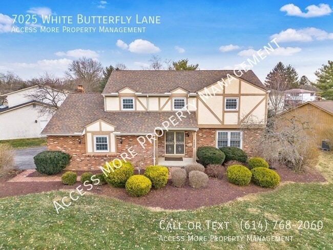 7025 White Butterfly Ln in Reynoldsburg, OH - Building Photo - Building Photo