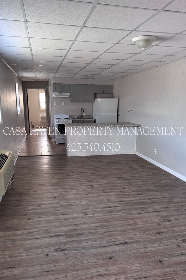 200 E Watauga Ave in Johnson City, TN - Building Photo - Building Photo