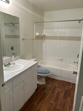 17102 Carrington Park Dr, Unit 317 in Tampa, FL - Building Photo - Building Photo