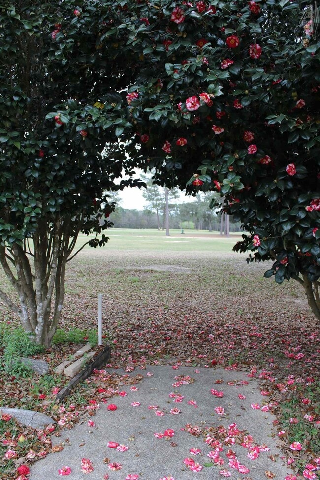 5864 Tanglewood Dr in Milton, FL - Building Photo - Building Photo