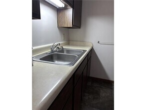 109 N 4th Ave in Parkers Prairie, MN - Building Photo - Building Photo
