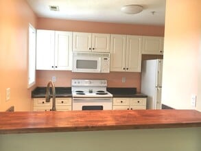 721 Melba Ct in Wilmington, NC - Building Photo - Building Photo