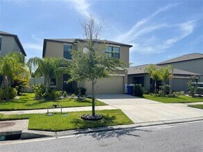 4329 Globe Thistle Dr in Tampa, FL - Building Photo - Building Photo