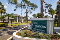 Pine Shadows Condos in Orlando, FL - Foto de edificio - Building Photo