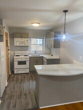 7361 N Ridge Blvd in Chicago, IL - Building Photo - Building Photo