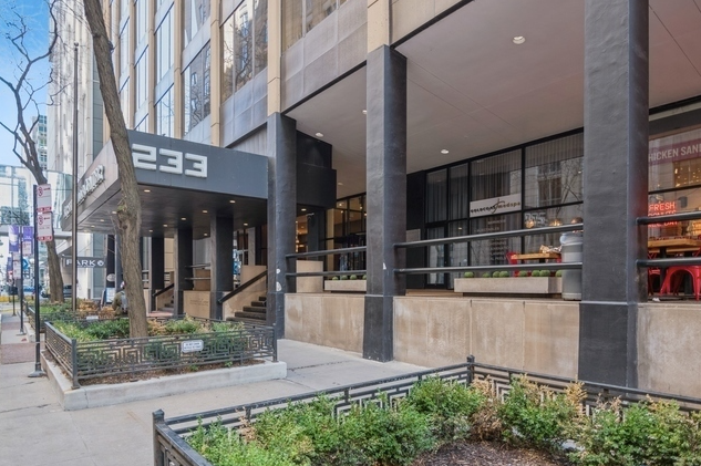 233 E Erie St in Chicago, IL - Building Photo