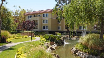 Northpark Apartments