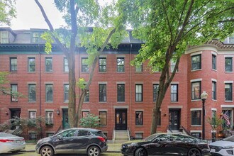 29 E Springfield St in Boston, MA - Building Photo - Building Photo