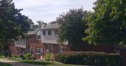 1028 Bridge St in Kalamazoo, MI - Foto de edificio - Building Photo