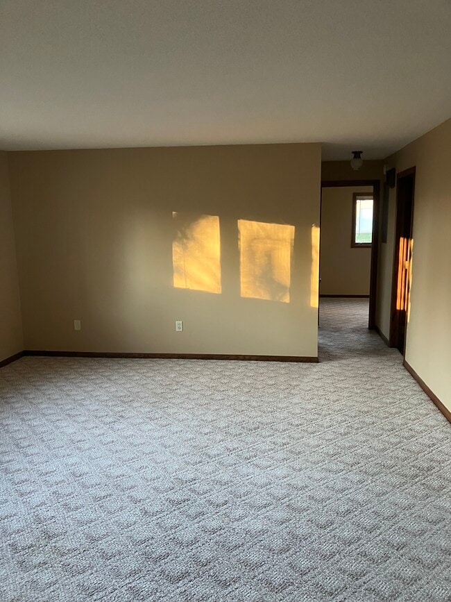 301 5th St S, Unit 1 in Cannon Falls, MN - Building Photo - Building Photo