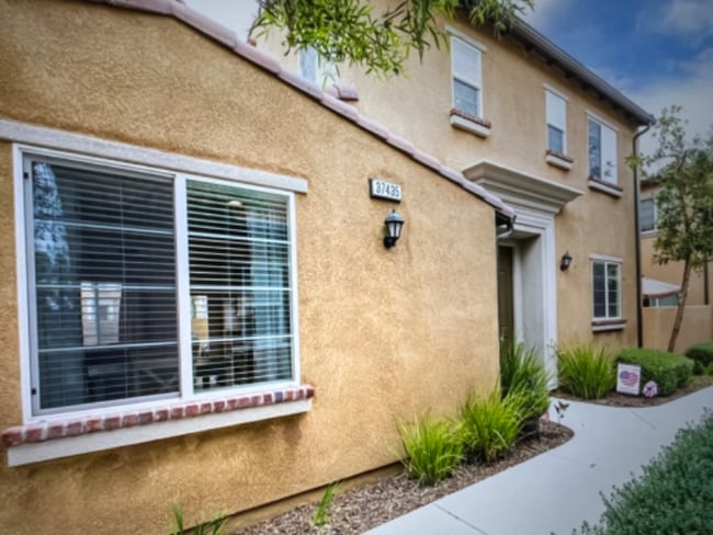 37435 Paseo Tulipa in Murrieta, CA - Foto de edificio - Building Photo