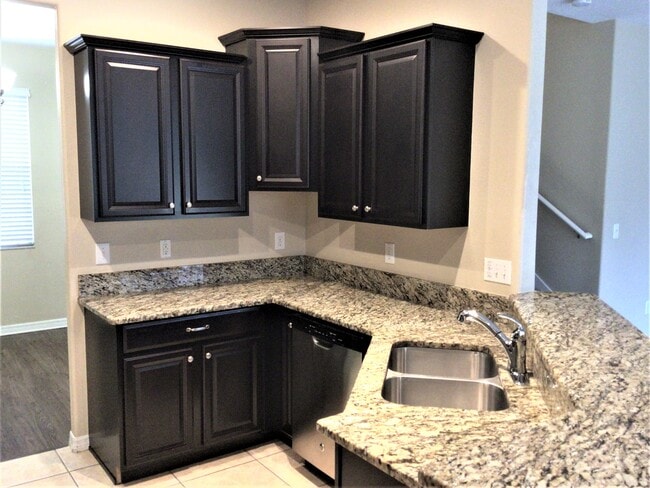 20506 Carolina Cherry Ct in Tampa, FL - Foto de edificio - Building Photo