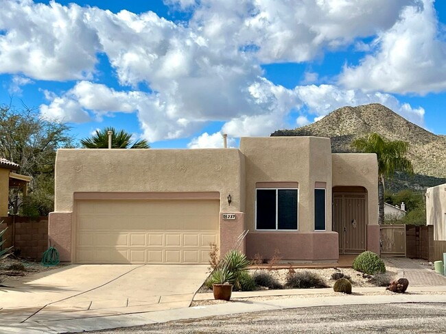 property at 237 N Desert Stream Dr