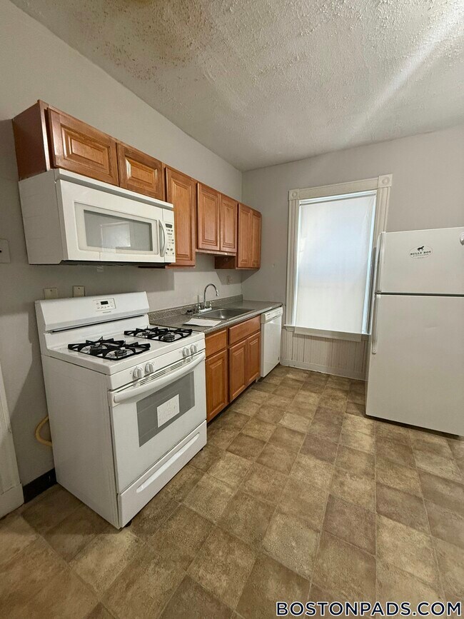 151 E Cottage St, Unit 2 in Boston, MA - Building Photo - Building Photo