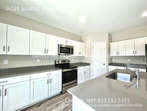 34126 Scarlet Sage Ct in Wesley Chapel, FL - Building Photo - Building Photo