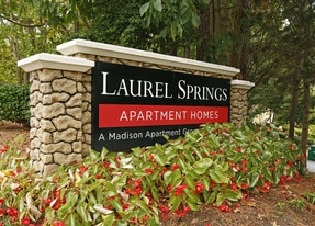 Laurel Springs in Raleigh, NC - Building Photo