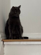 1515 Harrison Ave in Boulder, CO - Foto de edificio - Building Photo