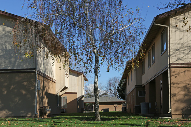 Strathmore Villa in Strathmore, CA - Building Photo - Building Photo