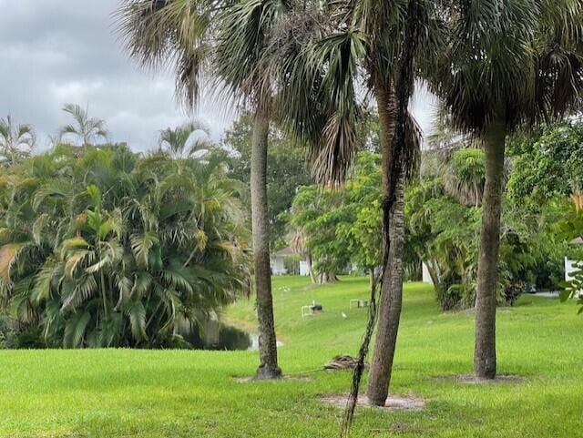 property at 2600 Fiore Way