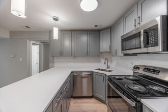 1225 N La Salle Dr, Unit k2 in Chicago, IL - Building Photo - Building Photo