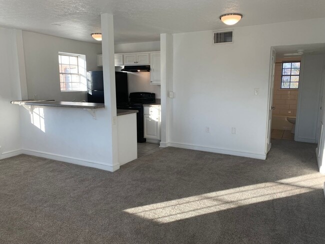 The Historic Blair Apartments in Salem, VA - Building Photo - Building Photo