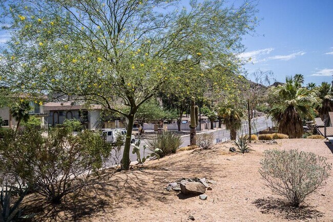 1111 E Butler Dr-Unit -D in Phoenix, AZ - Building Photo - Building Photo
