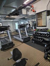 811 W 15th Pl in Chicago, IL - Building Photo - Building Photo