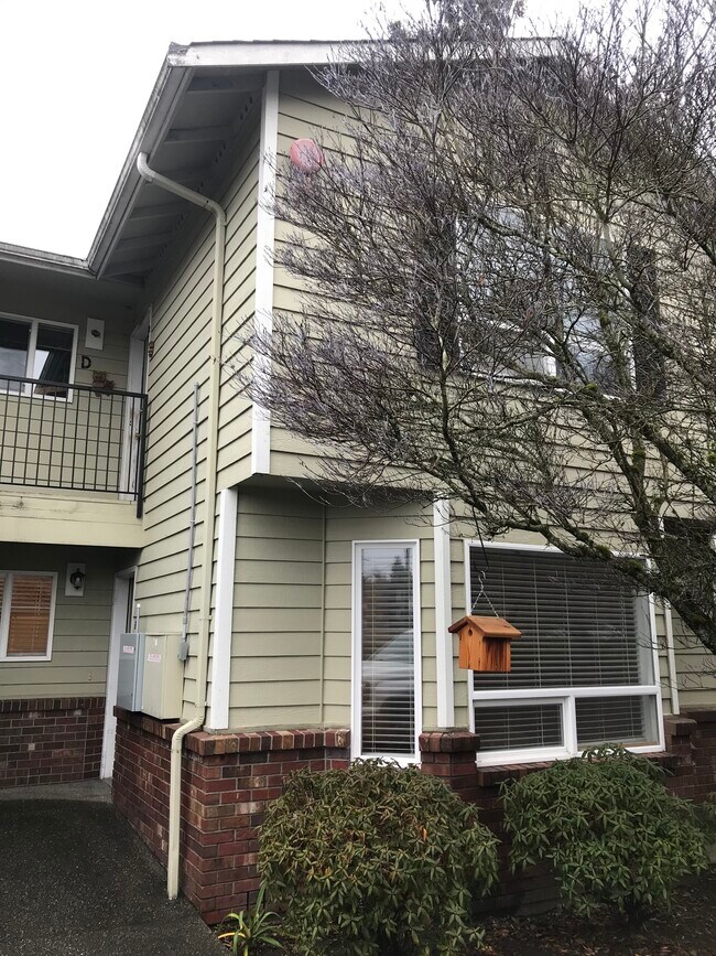 1117 Ttereve Dr Rentals in Everett, WA