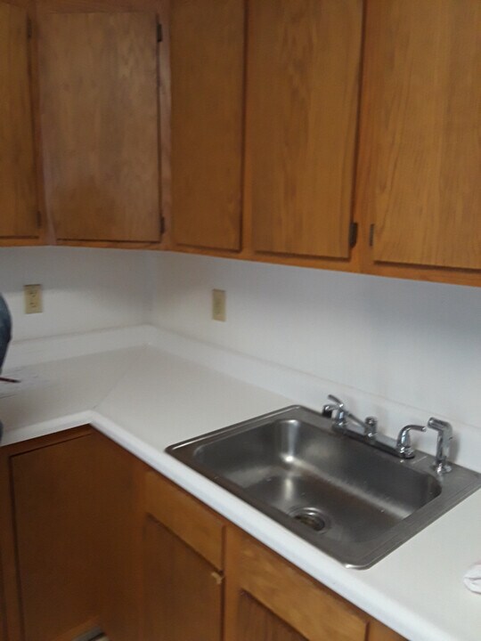 173 Chestnut St in Oneonta, NY - Building Photo