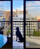 500 N St in Sacramento, CA - Building Photo